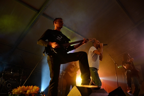 7tc_Wallis2014 - 36.jpg