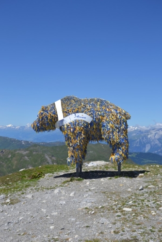 7tc_Arosa_11.6.2022 - 13 von 53.jpeg